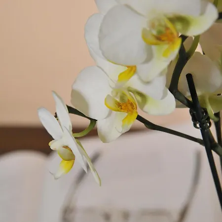 Bed and Breakfast Miravalle Antey-Saint-André