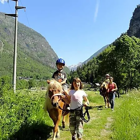 Oda ve Kahvaltı Miravalle